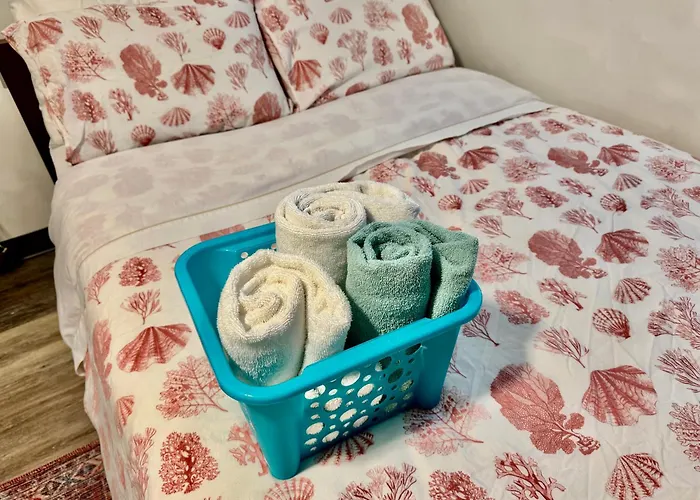 Micro Studio Apartment 10 Minutes Walk To University Of Washington